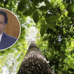 Revista Time inclui Haddad em lista das 100 lideranças climáticas mais influentes do mundo Revista Time inclui Haddad em lista das 100 lideranças climáticas mais influentes do mundo