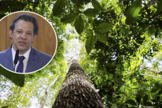 Revista Time inclui Haddad em lista das 100 lideranças climáticas mais influentes do mundo