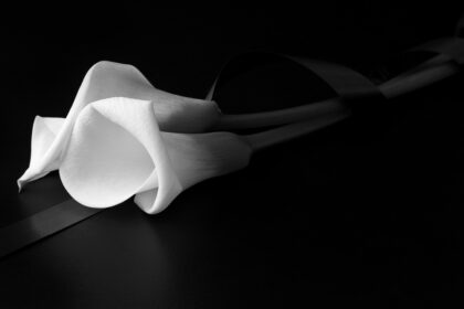 Nota de falecimento Nota de falecimento