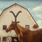 Cavalo Caramelo, símbolo das enchentes do RS, protagoniza chamada da série ‘Yellowstone’ Cavalo Caramelo, símbolo das enchentes do RS, protagoniza chamada da série ‘Yellowstone’