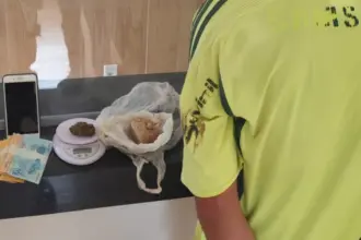 Polícia Militar prende homem por tráfico de drogas no Bairro Primavera Polícia Militar prende homem por tráfico de drogas no Bairro Primavera