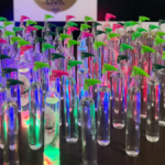 Polícia Civil prende homem por comercializar lança-perfume em festas