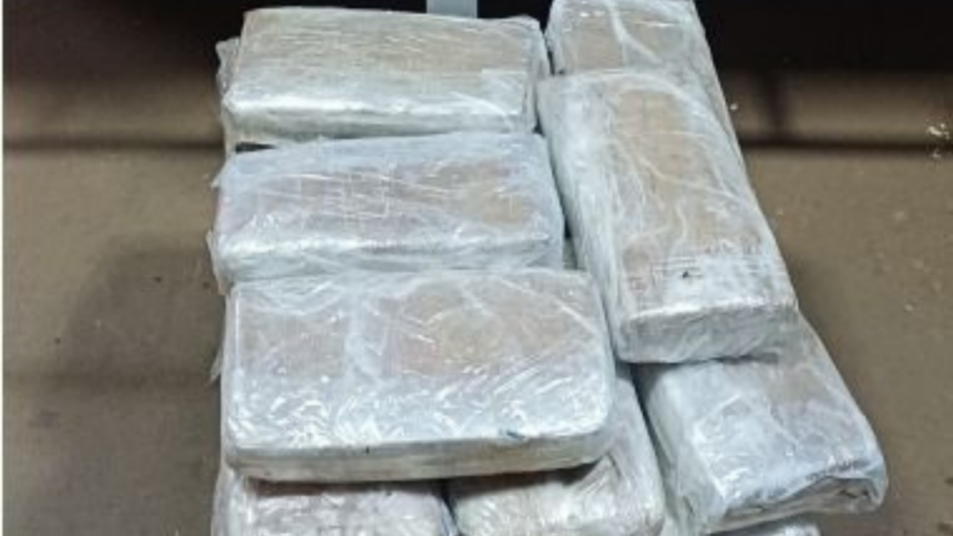 PCGO prende homem que despachou mais de 40 quilogramas de ‘super maconha’ em caminhão cegonha PCGO prende homem que despachou mais de 40 quilogramas de ‘super maconha’ em caminhão cegonha
