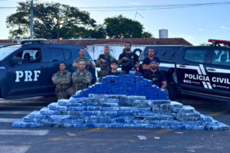 PCGO e PRF prendem 4 investigados por tráfico de drogas e apreendem quase meia tonelada de maconha