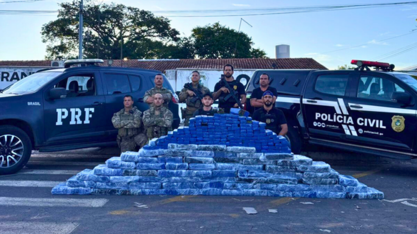 PCGO e PRF prendem 4 investigados por tráfico de drogas e apreendem quase meia tonelada de maconha PCGO e PRF prendem 4 investigados por tráfico de drogas e apreendem quase meia tonelada de maconha