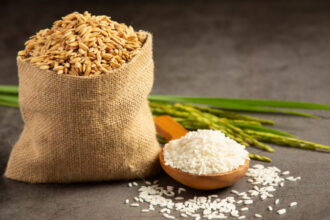 Governo lança iniciativa para impulsionar produção de arroz no Brasil