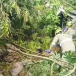 Urgente: Motorista de caminhão morre em grave acidente na GO-080, próximo à Jalles Urgente: Motorista de caminhão morre em grave acidente na GO-080, próximo à Jalles