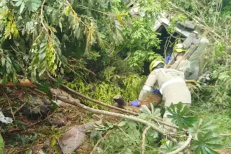 Urgente: Motorista de caminhão morre em grave acidente na GO-080, próximo à Jalles