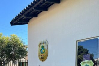 Jovem é preso em Jussara após furtar residência