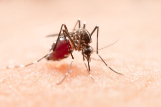 Dengue: SP lidera número de mortes por dengue em 2024 Dengue: SP lidera número de mortes por dengue em 2024