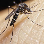 Lula Concede Indenização de R$ 60 Mil a Crianças Vítimas do Zika e Veta Pensão Permanente