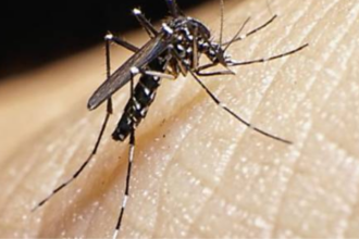 Lula Concede Indenização de R$ 60 Mil a Crianças Vítimas do Zika e Veta Pensão Permanente