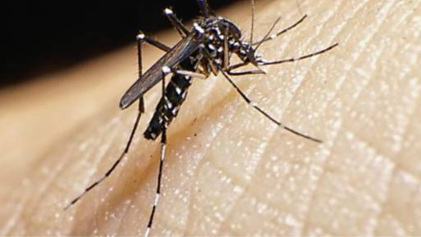 Lula Concede Indenização de R$ 60 Mil a Crianças Vítimas do Zika e Veta Pensão Permanente