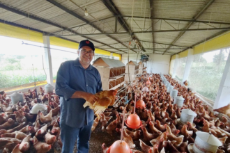 Rotas de Integração Nacional: programa já beneficia 70 mil produtores Rotas de Integração Nacional: programa já beneficia 70 mil produtores