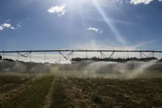 Safra 2025: IBGE prevê 322,6 milhões de toneladas, com crescimento de 10,2% frente a 2024