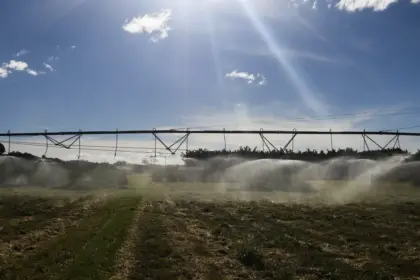 Safra 2025: IBGE prevê 322,6 milhões de toneladas, com crescimento de 10,2% frente a 2024