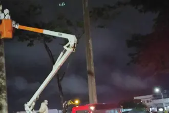 Bombeiros retiram colmeia de abelhas na praça Dimas Carrilho após ataques a frequentadores Bombeiros retiram colmeia de abelhas na praça Dimas Carrilho após ataques a frequentadores