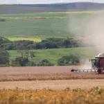 Goiás deve bater recorde na colheita de grãos em 2025 Goiás deve bater recorde na colheita de grãos em 2025