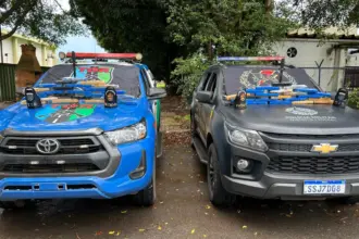 Operação integrada entre PRE de Goianésia e PMDF apreende 50kg de maconha