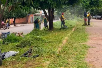 Prefeitura de Goianésia inicia mutirão de limpeza para atender demandas acumuladas Prefeitura de Goianésia inicia mutirão de limpeza para atender demandas acumuladas