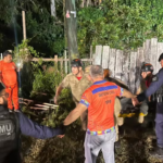 Pai e filha são encontrados mortos após deslizamento em Manaus Pai e filha são encontrados mortos após deslizamento em Manaus