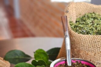 Do Paraná para o mundo: conheça empresa que exporta erva-mate para as Américas