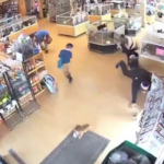 Homem finge convulsão para roubar cães em pet shop nos EUA.
