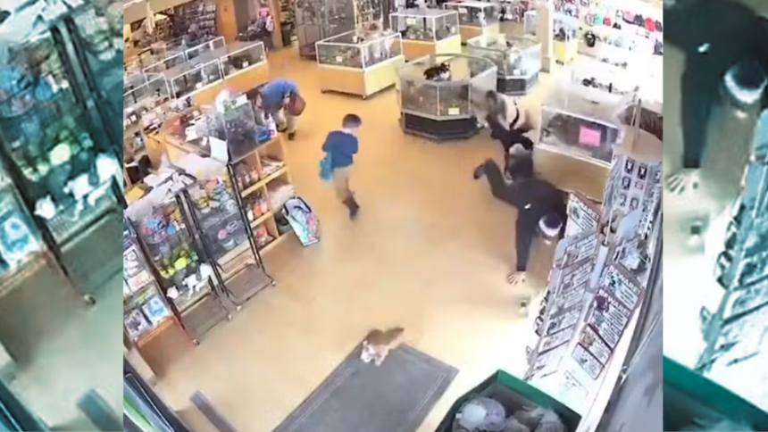 Homem finge convulsão para roubar cães em pet shop nos EUA. Homem finge convulsão para roubar cães em pet shop nos EUA.