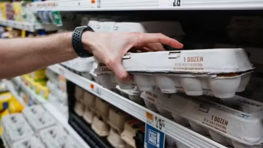 Por que o Preço dos Ovos nos EUA Disparou e Como Isso Afeta o Consumidor Por que o Preço dos Ovos nos EUA Disparou e Como Isso Afeta o Consumidor