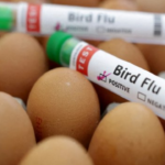 Preço do ovo dispara nos EUA e vira alvo de ladrões Preço do ovo dispara nos EUA e vira alvo de ladrões