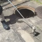 Bombeiros são acionados para resgatar ninhada de gambá em caixa subterrânea no centro de Goianésia