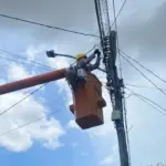 Terrorista que matou brasileira em atentado na França é condenado à prisão perpétua