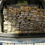 Prisões e apreensões de drogas em rodovias federais goianas preocupam a PRF