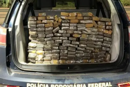 Prisões e apreensões de drogas em rodovias federais goianas preocupam a PRF