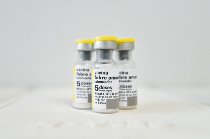 Cobertura vacinal contra febre amarela em menores de 1 ano preocupa autoridades de saúde em Goiás Cobertura vacinal contra febre amarela em menores de 1 ano preocupa autoridades de saúde em Goiás
