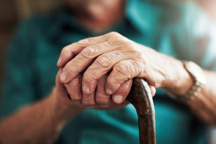 Harmonização de Roteiros Objetivos de Inspeção fortalece fiscalização sanitária em Goiás Harmonização de Roteiros Objetivos de Inspeção fortalece fiscalização sanitária em Goiás