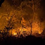Fapeg investe R$ 1 milhão na prevenção de incêndios no Cerrado Fapeg investe R$ 1 milhão na prevenção de incêndios no Cerrado