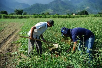Garantia Safra: agricultores de 744 municípios começam a receber benefício; confira lista das cidades