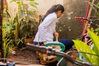 Goianésia registra redução de 88% nos casos de dengue após ações de prevenção da Prefeitura Goianésia registra redução de 88% nos casos de dengue após ações de prevenção da Prefeitura