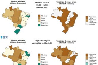 InfoGripe: 12 das 27 unidades federativas apresentam incidência de SRAG em nível de alerta InfoGripe: 12 das 27 unidades federativas apresentam incidência de SRAG em nível de alerta