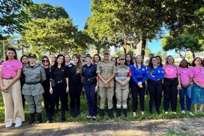 Operação intensifica combate à violência contra mulheres