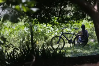 Outono: como será o tempo nas 5 regiões brasileiras