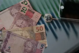 Rendimento domiciliar per capita no Brasil foi de R$ 2.069; confira ranking por estado Rendimento domiciliar per capita no Brasil foi de R$ 2.069; confira ranking por estado