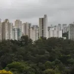 São Paulo lidera ranking de cidades brasileiras com maior intensidade de ligações empresariais São Paulo lidera ranking de cidades brasileiras com maior intensidade de ligações empresariais