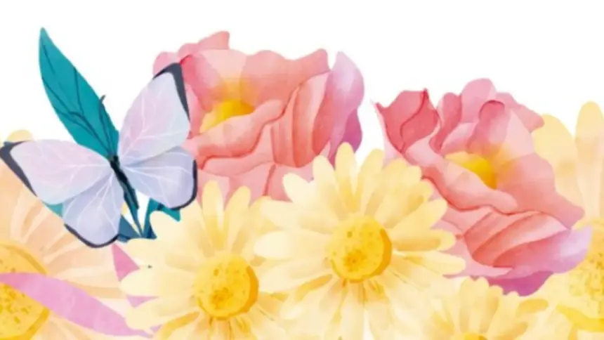 Abertas inscrições para quarta edição do Encontro Estadual de Saúde Mental Abertas inscrições para quarta edição do Encontro Estadual de Saúde Mental