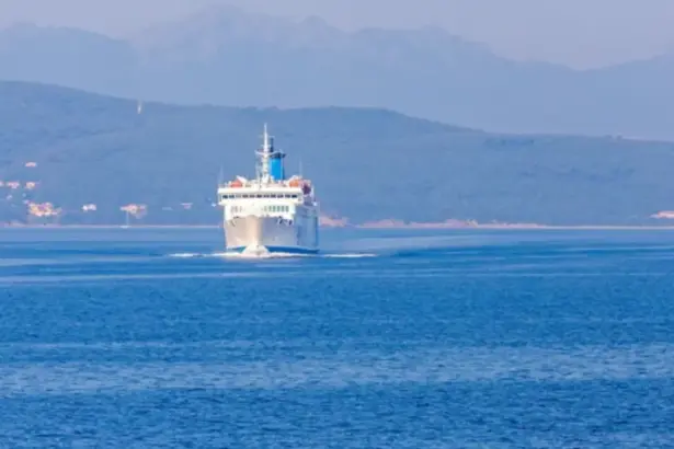 Cruzeiro zarpa do Porto de Santos e deixa cerca de 100 passageiros para trás; entenda