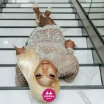 Intimidade Sem Fronteiras: A Revolução do Mercado de Acompanhantes