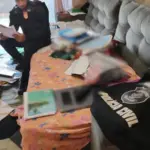 Cidade Ocidental: PCGO deflagra operação para investigar crimes contra a administração pública