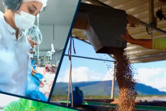 Peixe Bom Pescados: Crescimento, inovação e gestão humanizada Peixe Bom Pescados: Crescimento, inovação e gestão humanizada