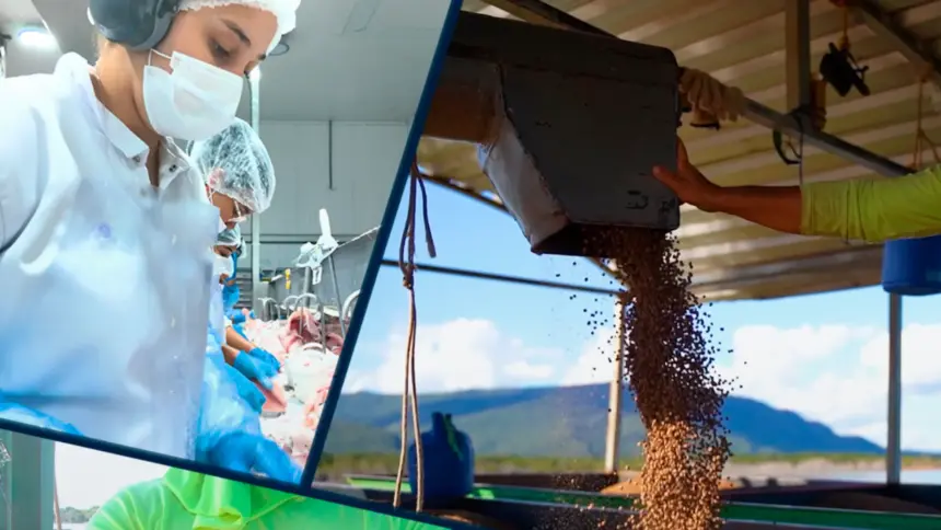 Peixe Bom Pescados: Crescimento, inovação e gestão humanizada Peixe Bom Pescados: Crescimento, inovação e gestão humanizada